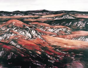 军旅画家杨进民：西部放歌(图)