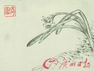 清 八大山人《水仙、芋》（局部）