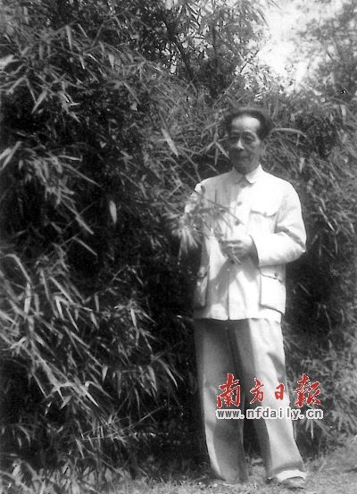 岭南派花鸟画的苏门三杰