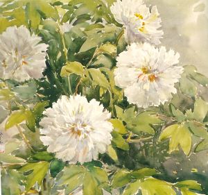 李泳森水彩画《白牡丹》。