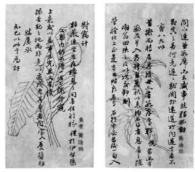 林文忠公尺牍(善本掌故)(图)