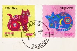 在越南 今年是猫年(图)