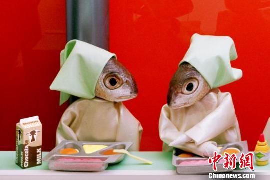 安妮?凯瑟琳的作品（资料图）　安妮?凯瑟琳　摄