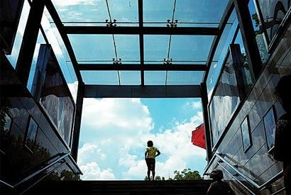 按动快门 为下次相遇做准备
