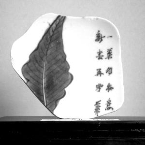 收藏古瓷片 不但知其表更能察其里