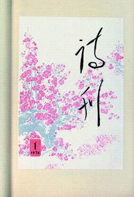 《诗刊》大字本