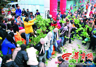 30位艺术家90分钟将菜场变成博物馆(图)