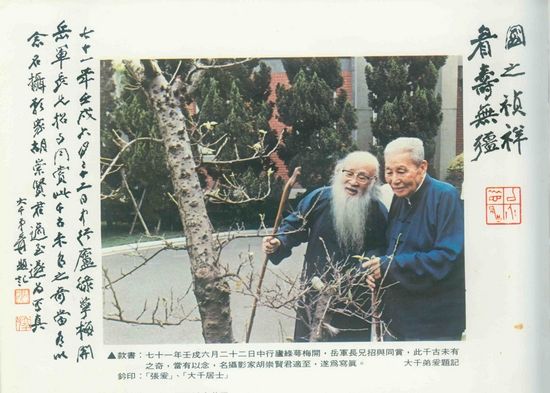 1982年张大千与张岳军在台北赏梅