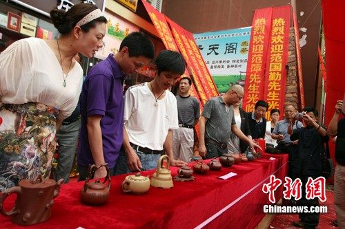 江苏徐州举办首届花壶大赛 万元梅桩成壶王