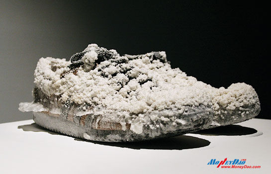 法国 于连?迪斯科里作品