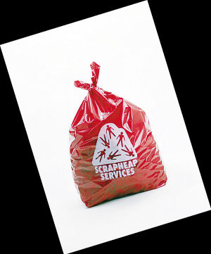 “英国制造??英国文化协会当代艺术展1980?2010”中国巡回展展品。（资料图片）