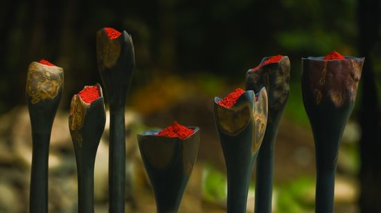 雨果?扎帕塔《人民花园》（石头，颜料）