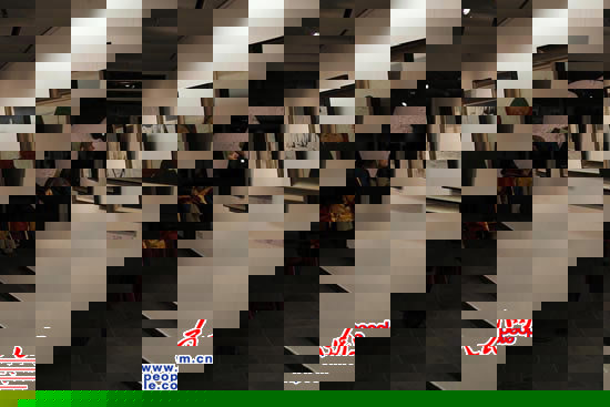 德国观众在认真观看中国当代艺术作品