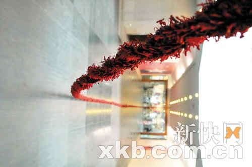 去魅中国想象当代艺术展广州开幕