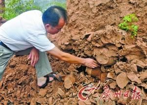 黄土深处保存着两个完整陶罐，旁边都是陶瓷碎片。