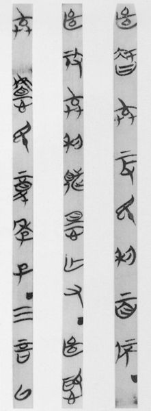 日前，新闻出版重大科技工程项目“中华字库”工程的研发工作正式启动。