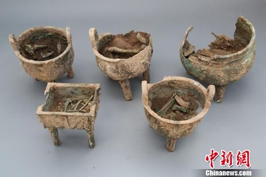 出土的铜鼎及其牲骨.　陕西省考古研究院　摄