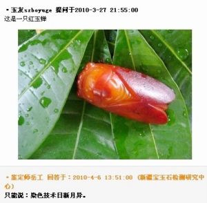 玉石鉴定师解答提问语言幽默