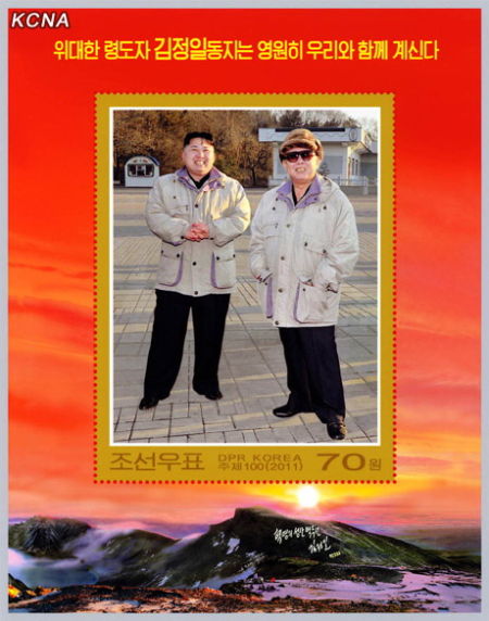 图片资料