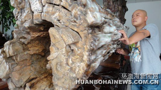 唐山现身亿年虫王树化玉
