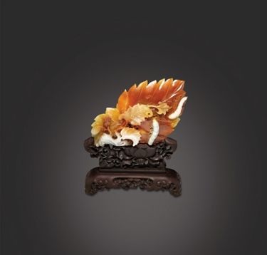 桑叶藏宝<a href=