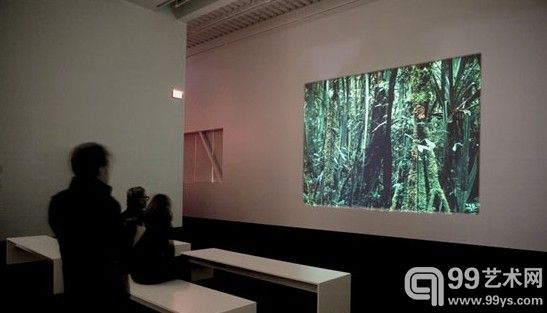 奥地利选定艺术家参加2013威尼斯双年展