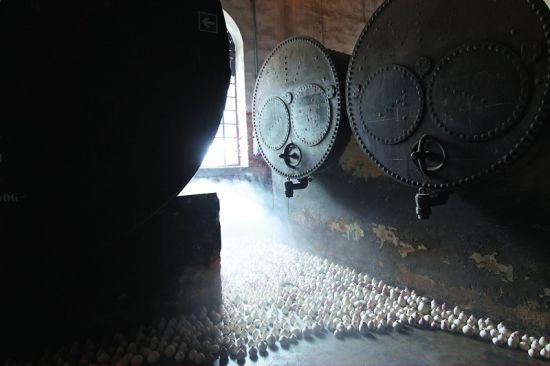 威尼斯双年展中的中国馆。