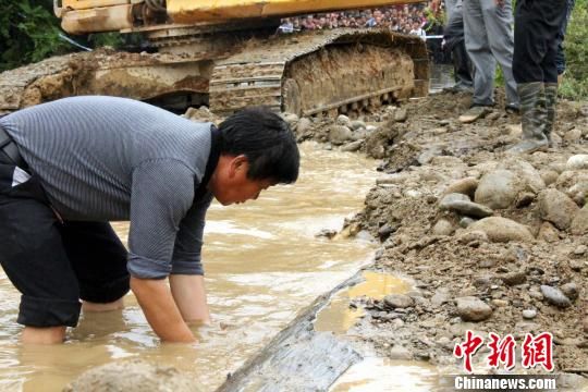 图为乌木发现者陈金林在现场参与挖掘。　魏东升　摄