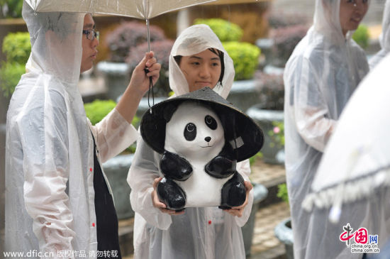 1600纸熊猫香港中环皇后像广场“快闪” 下雨天戴蓑笠帽萌爆游人。Bergen L/东方IC